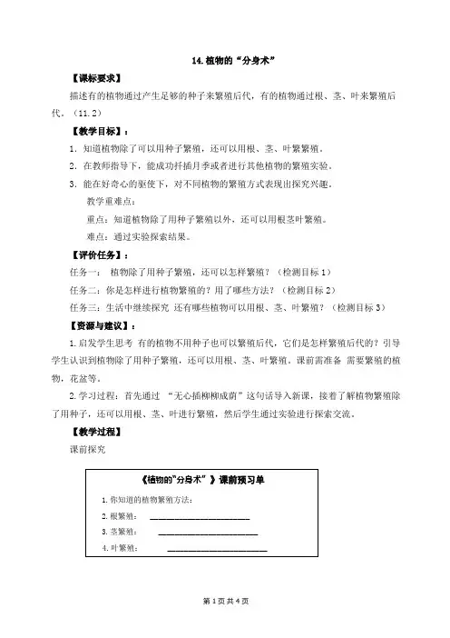青岛版三年级下册科学第14课植物的“分身术”教案