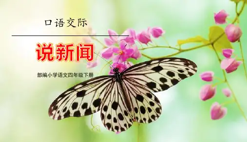 《说新闻》PPT优质课件