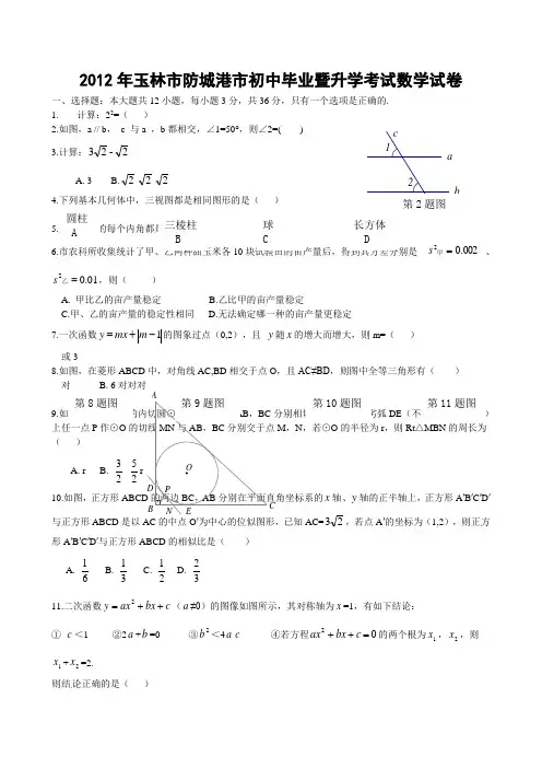 2012年广西自治区玉林市、防城港市中考数学试题(含答案) 