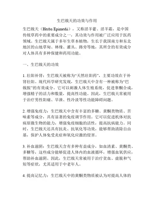生巴戟天的功效与作用