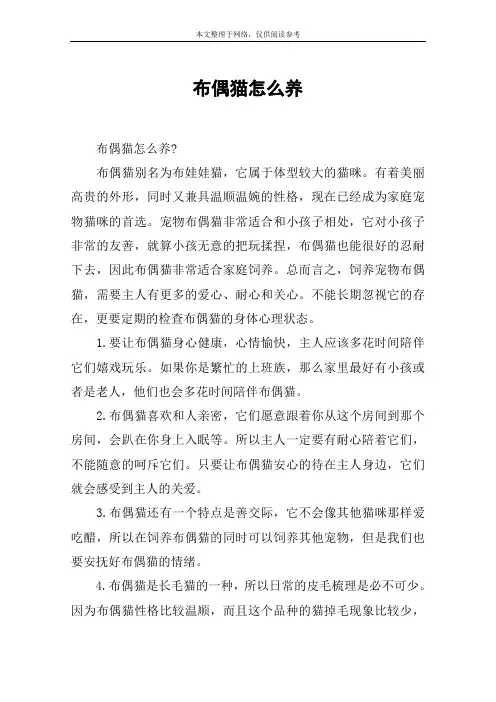 布偶猫怎么养