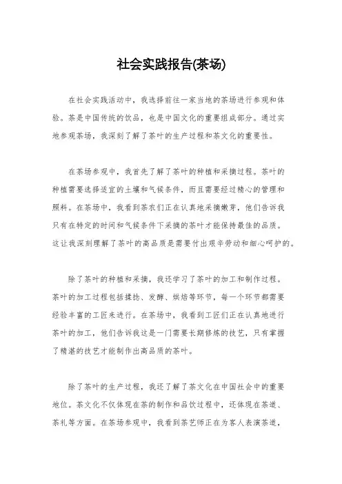 社会实践报告(茶场)