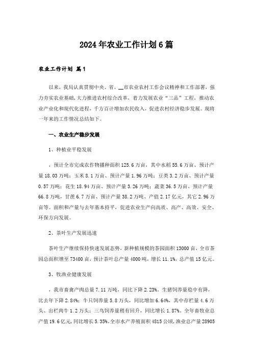 2024年农业工作计划6篇