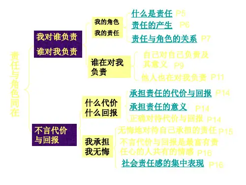 九年级政治责任与角色同在1(PPT)3-3
