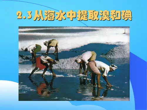 沪科版化学高一上册-2.3 从海水中提取溴和碘 课件 ppt