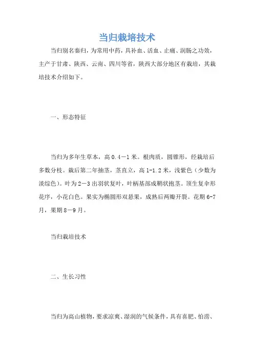 当归栽培技术
