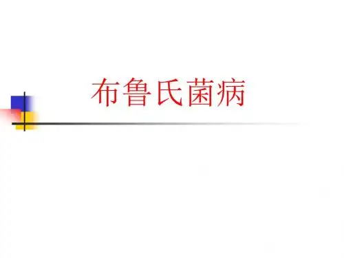 布鲁氏菌病讲解