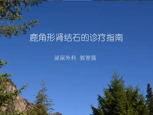 鹿角形肾结石诊断治疗指南 ppt课件