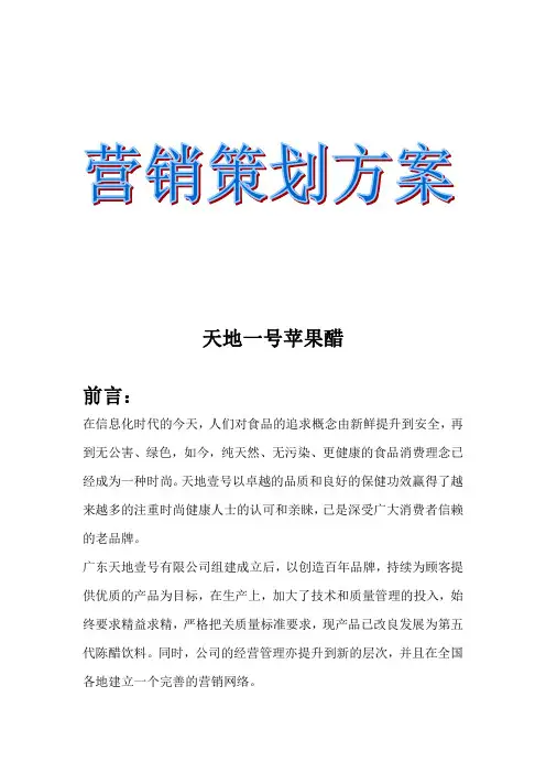 天地一号苹果醋营销策划书
