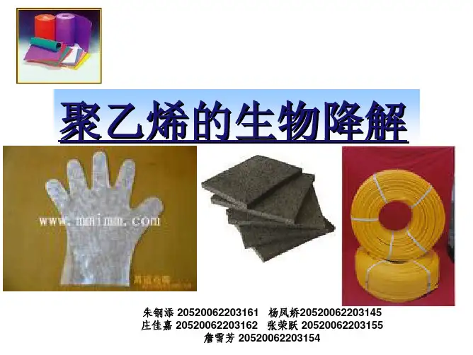 聚乙烯的生物降解 - 厦门大学化学化工学院
