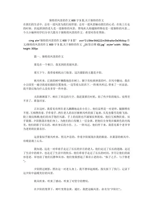 独特的风景的作文600字5篇,关于独特的作文 