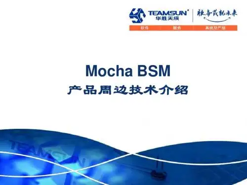 Mocha+BSM_产品周边技术介绍