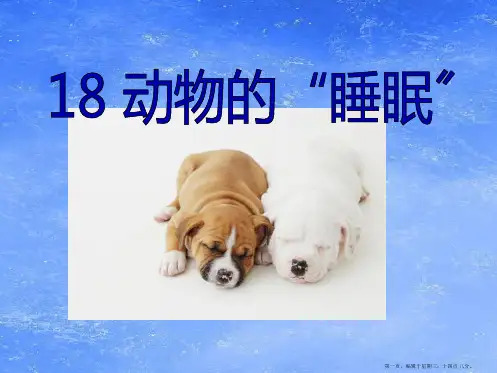 2022语文A版语文三下《动物的“睡眠”》ppt课件