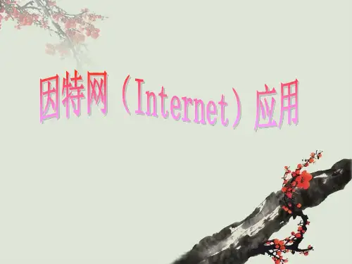因特网应用课件
