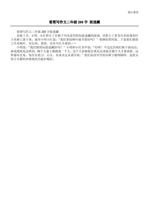 看图写作文二年级200字 捉迷藏