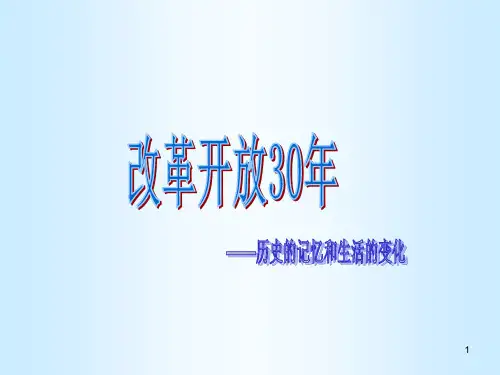 改革开放30周年ppt课件