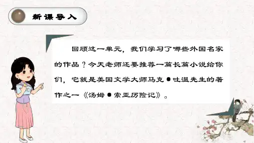 人教版六年级语文下册 汤姆索亚历险记(节选)(精华版)