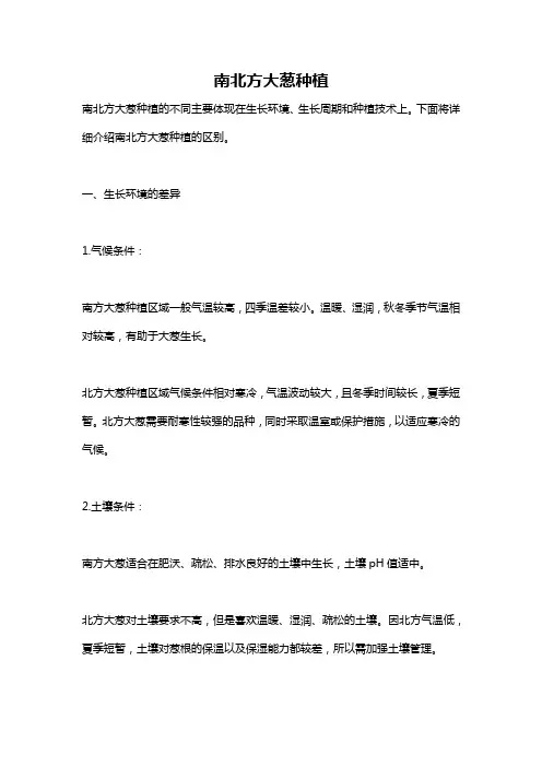 南北方大葱种植