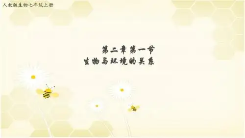 生物与环境的关系
