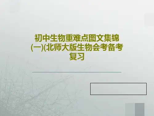 初中生物重难点图文集锦(一)(北师大版生物会考备考复习PPT文档共49页