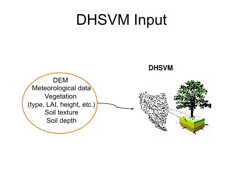 分布式水文模型DHSVM_Model_Inputs