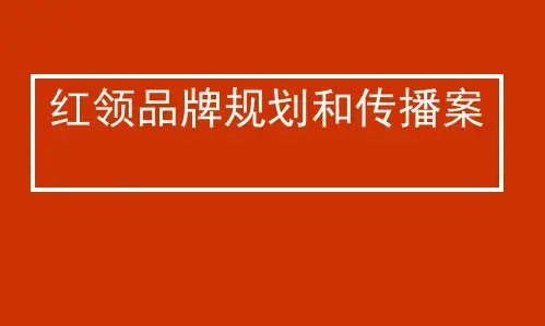 服装品牌战略规划