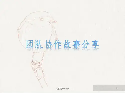 团队协作故事分享ppt课件
