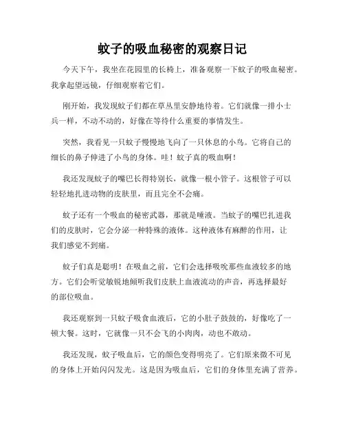 小学三年级作文蚊子的吸血秘密的观察日记