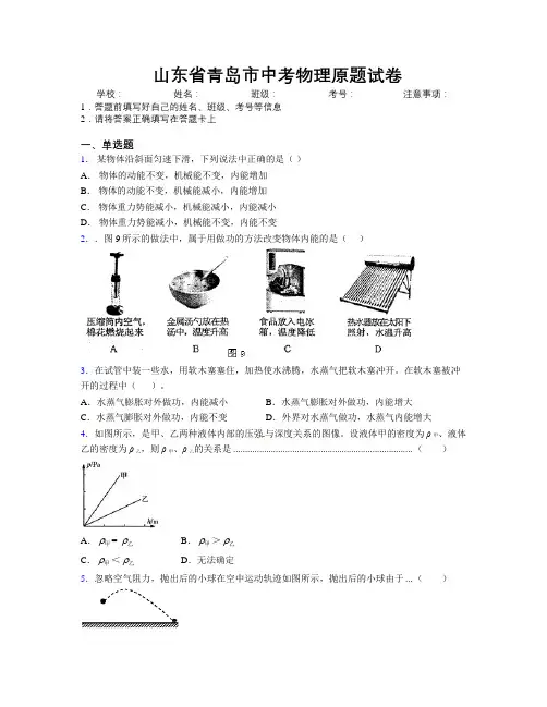 最新山东省青岛市中考物理原题试卷及解析