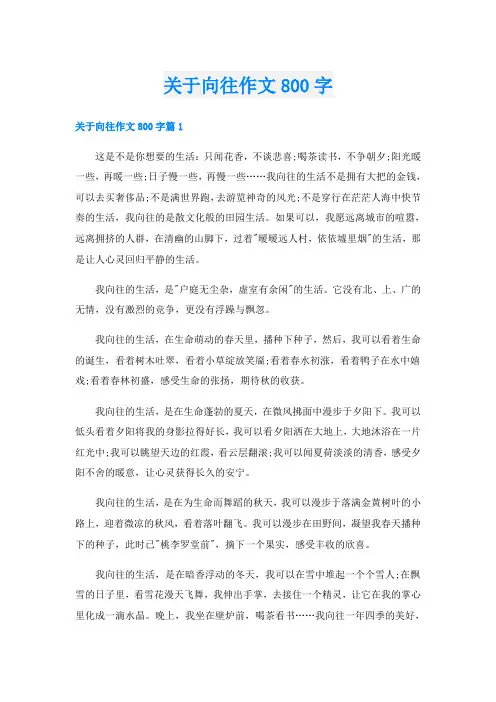 关于向往作文800字