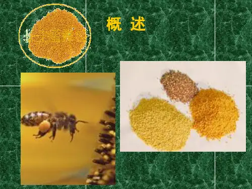 蜂花粉与人类健康讲解