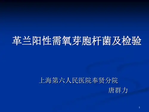 检验微生物学 革兰阳性需氧芽胞杆菌及检验