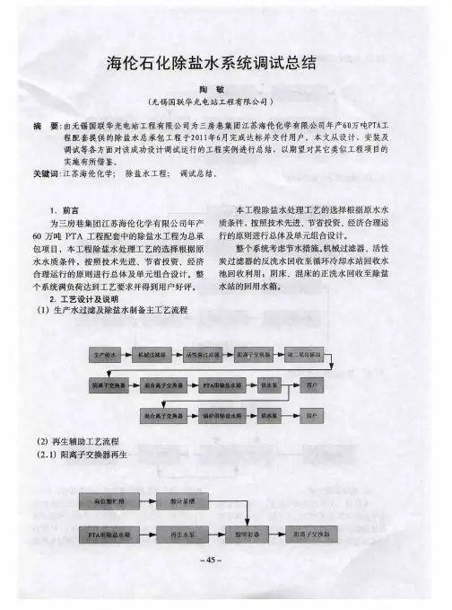 海伦石化除盐水系统调试总结
