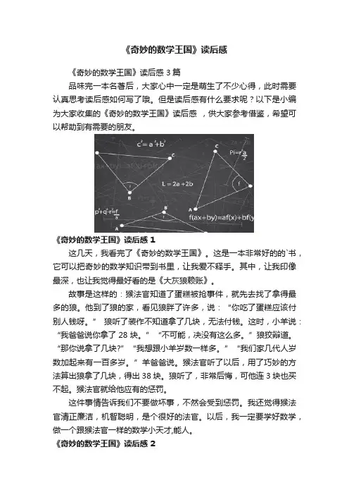 《奇妙的数学王国》读后感