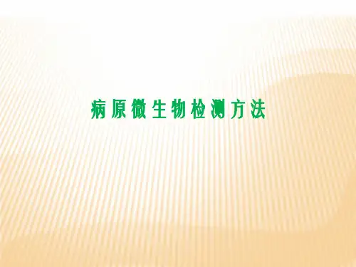 病原微生物检测方法 27页PPT文档