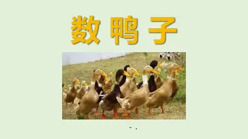 《数鸭子》PPT