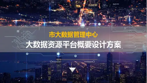 市大数据中心大数据资源平台概要设计方案
