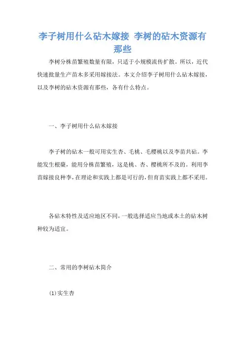 李子树用什么砧木嫁接 李树的砧木资源有那些
