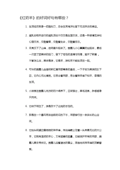 《红奶羊》好词好句摘抄