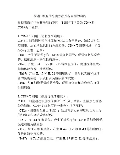 简述t细胞的分类方法及各亚群的功能