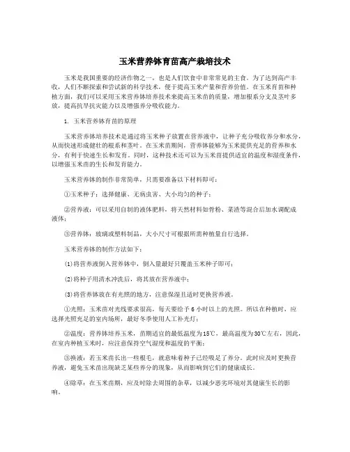 玉米营养钵育苗高产栽培技术