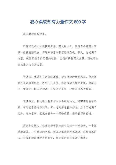 我心柔软却有力量作文800字