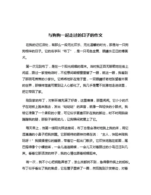与狗狗一起走过的日子的作文