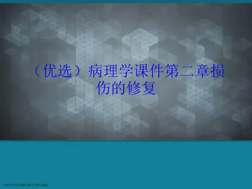 病理学课件第二章损伤的修复