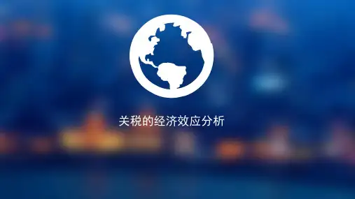 关税经济效应(新)