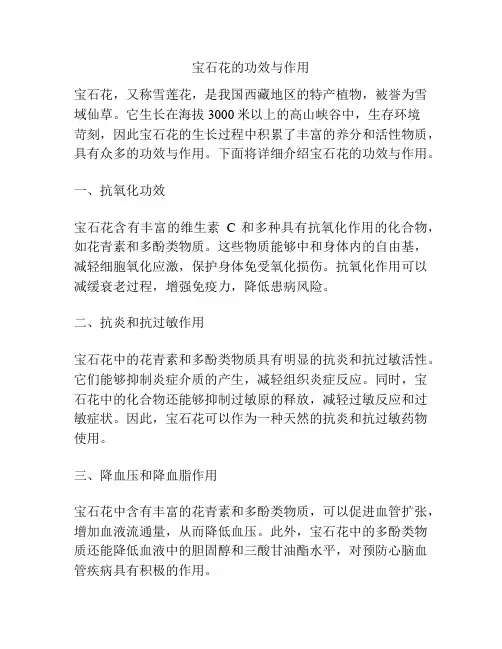 宝石花的功效与作用