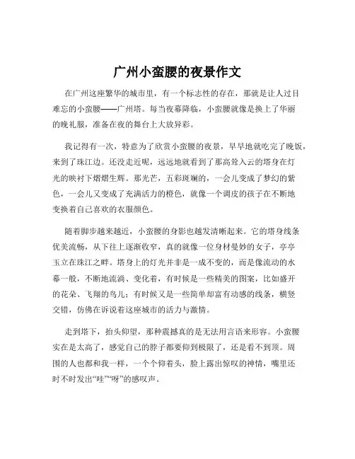 广州小蛮腰的夜景作文