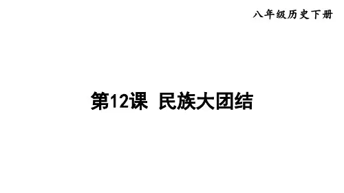 民族大团结 课件  2022-2023学年部编版八年级历史下册_1