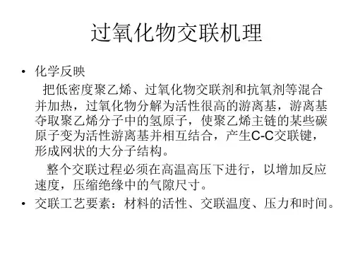 交联工艺学第三章过氧化物交联设备与工艺ppt课件