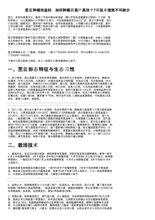 苤蓝种植效益好，如何种植获高产高效？7项技术措施不可缺少